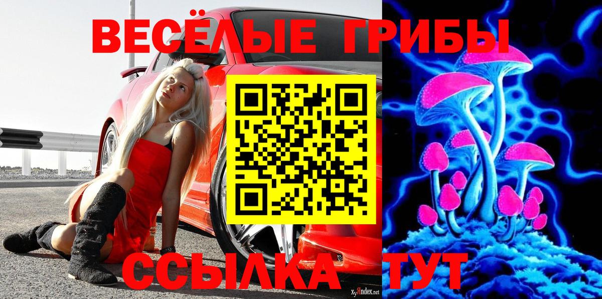 Псилоцибиновые грибы Magic Shrooms  Вход с VPN  купить наркотики сайты  Клин  Галлюциногенные грибы ЛСД 
